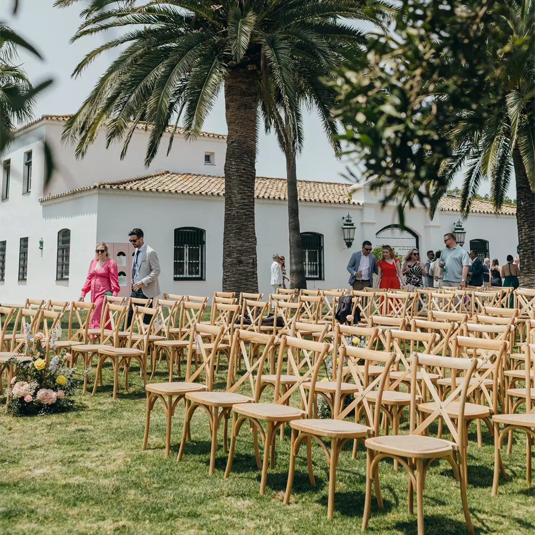 Rows of empty wooden chairs are arranged outdoors on grass, with people walking among them near palm trees and a white building in the background.