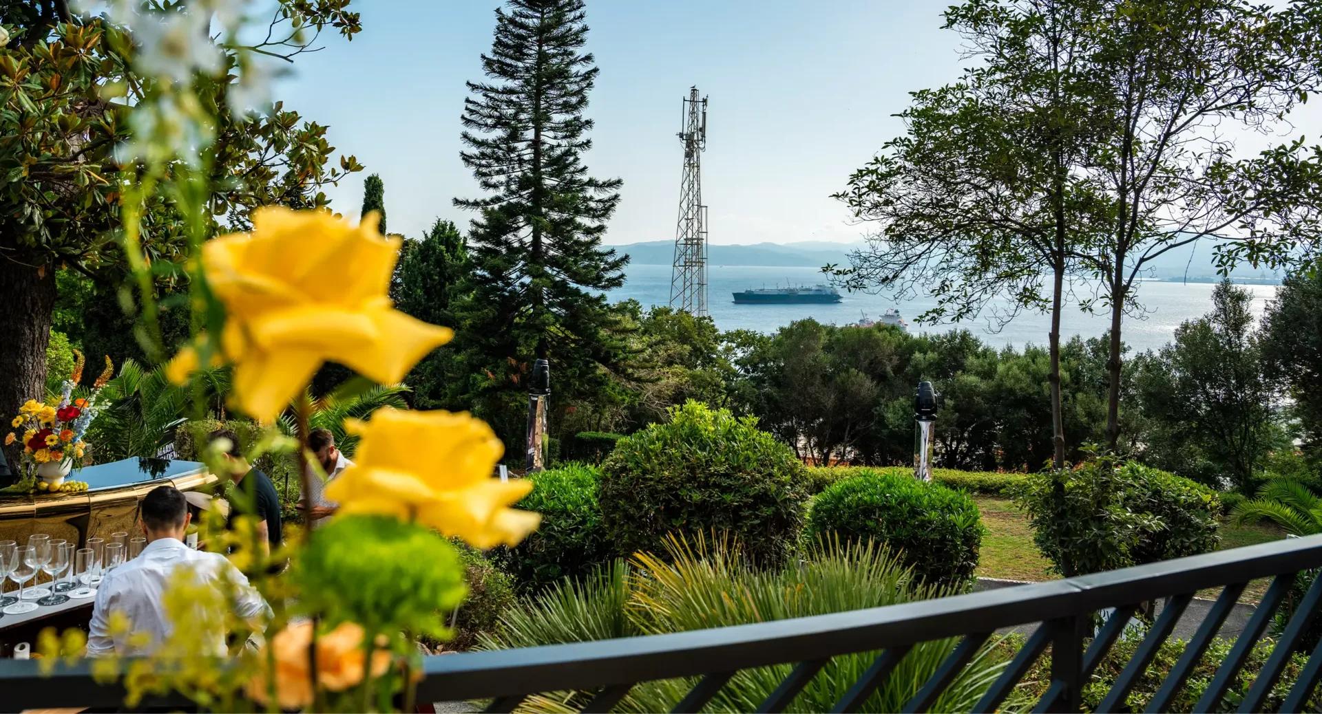 Yellow roses in the foreground, a garden with trees and shrubs, a cell tower, and a ship on the sea in the background under a clear sky.
