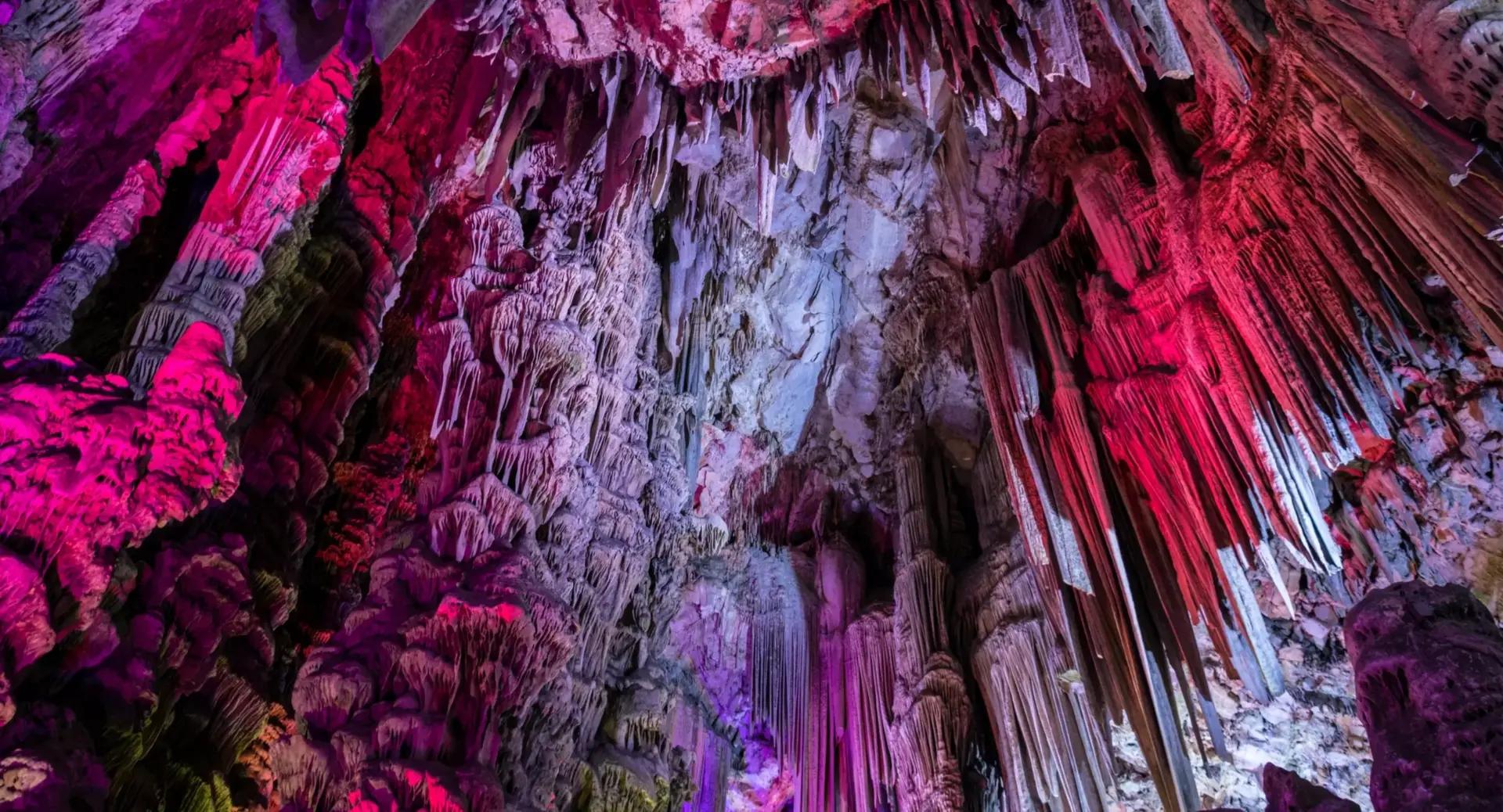 A cave ceiling with jagged stalactites and rock formations illuminated by purple and pink lights.